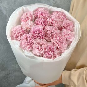 Букет из 15 розовых диантусов