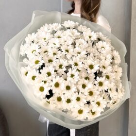 Букет из 15 ромашковых хризантем