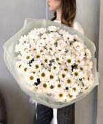 Букет из 15 ромашковых хризантем