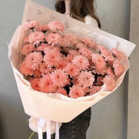 Букет из 9 пудровых хризантем